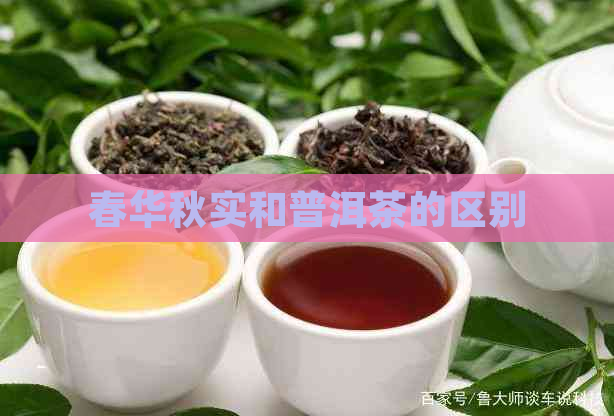 春华秋实和普洱茶的区别