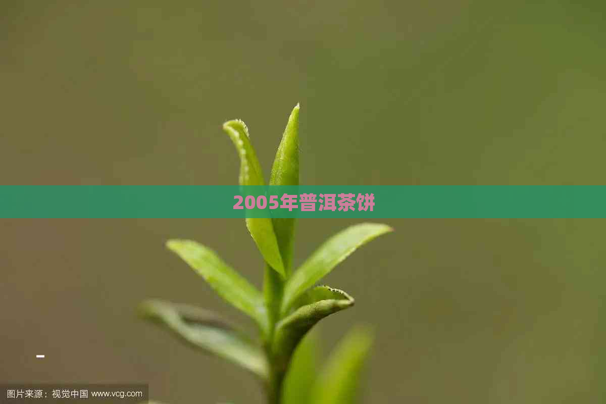 2005年普洱茶饼