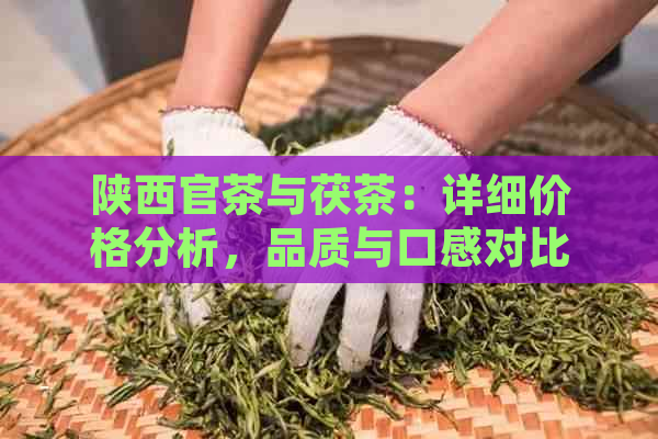 陕西官茶与茯茶：详细价格分析，品质与口感对比