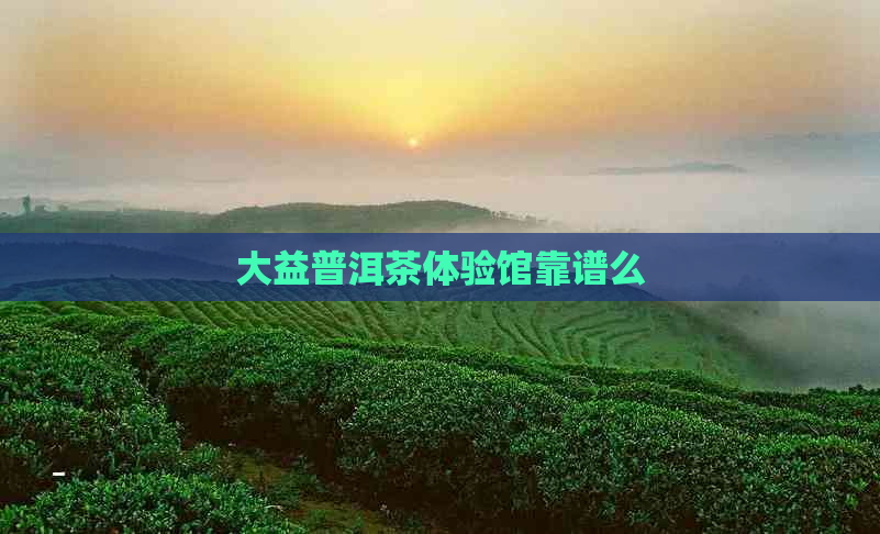 大益普洱茶体验馆靠谱么