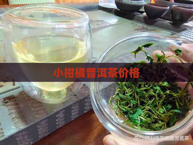 小柑橘普洱茶价格