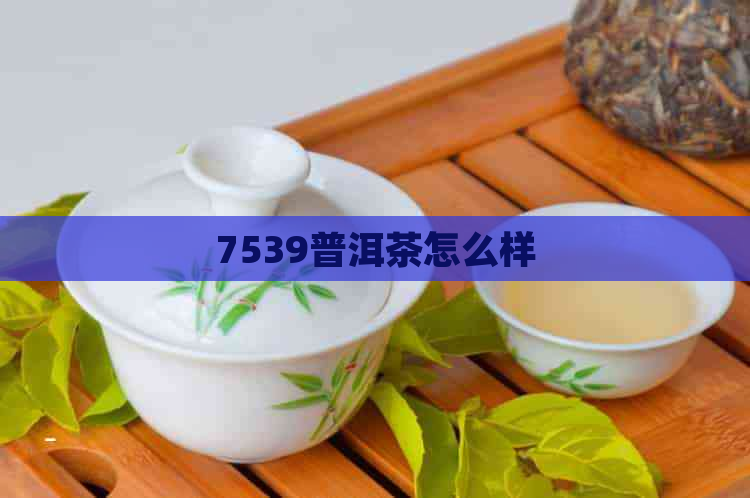 7539普洱茶怎么样