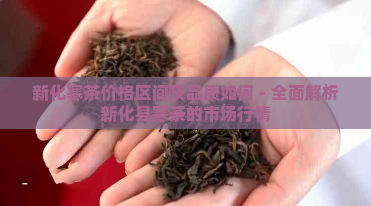 新化寒茶价格区间及品质如何 - 全面解析新化县寒茶的市场行情