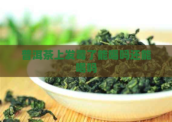 普洱茶上发霉了能喝吗还能喝吗