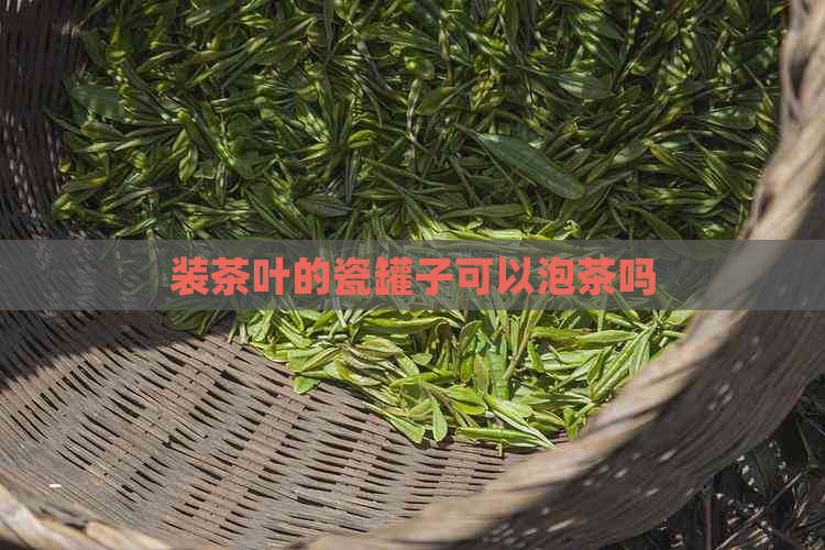 装茶叶的瓷罐子可以泡茶吗