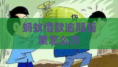 蚂蚁借款逾期后果怎么办