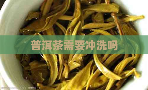 普洱茶需要冲洗吗