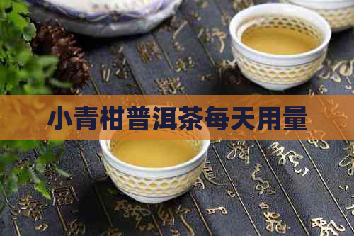 小青柑普洱茶每天用量