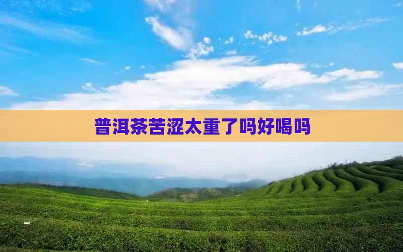 普洱茶苦涩太重了吗好喝吗