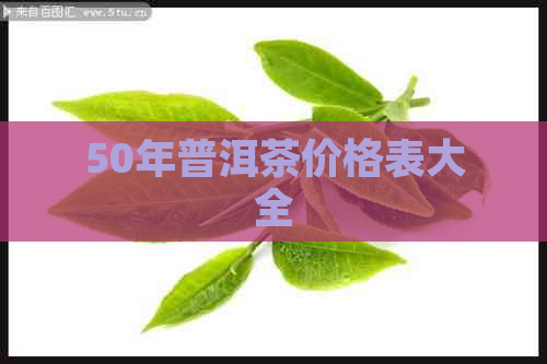 50年普洱茶价格表大全