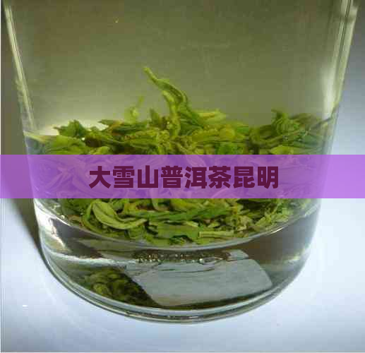 大雪山普洱茶昆明