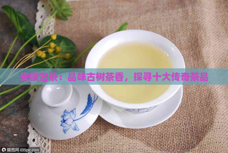 安徽名茶：品味古树茶香，探寻十大传奇茶品