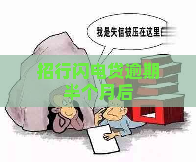 招行闪电贷逾期半个月后