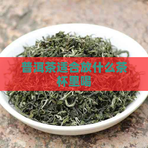 普洱茶适合放什么茶杯里喝