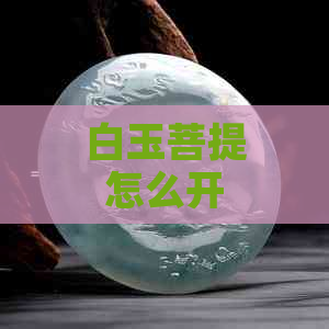 白玉菩提怎么开