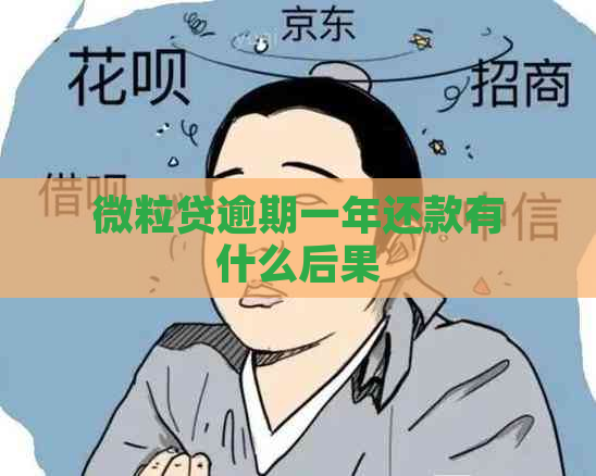 微粒贷逾期一年还款有什么后果