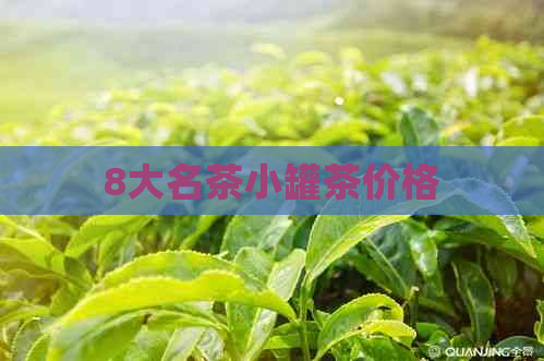 8大名茶小罐茶价格