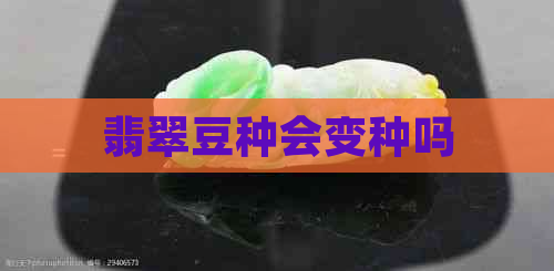 翡翠豆种会变种吗