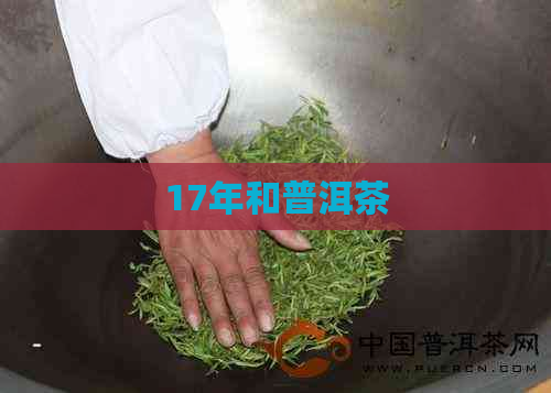 17年和普洱茶