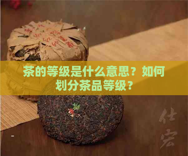 茶的等级是什么意思？如何划分茶品等级？