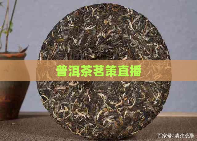 普洱茶茗策直播