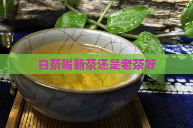 白茶喝新茶还是老茶好