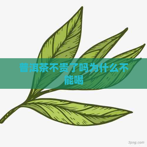 普洱茶不贵了吗为什么不能喝