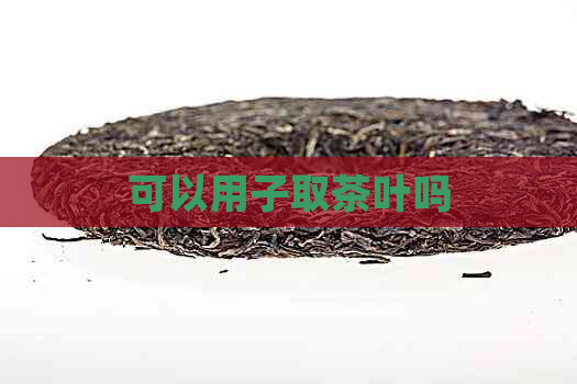 可以用子取茶叶吗