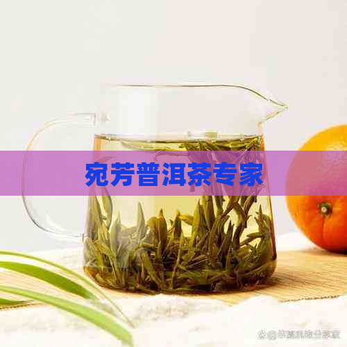 宛芳普洱茶专家