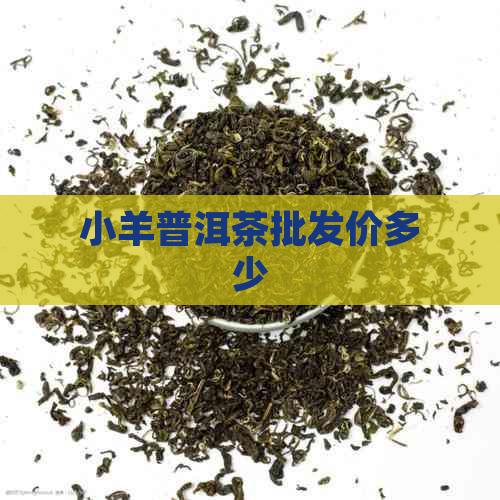 小羊普洱茶批发价多少