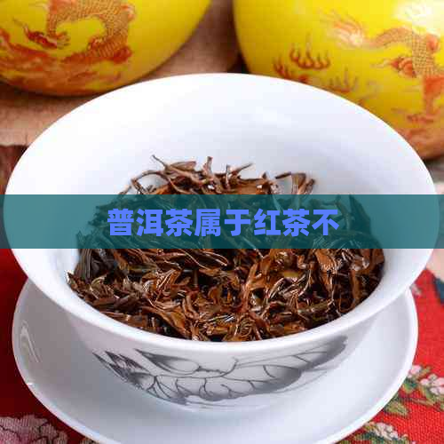 普洱茶属于红茶不