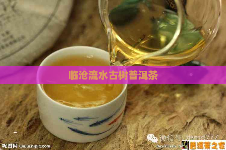 临沧流水古树普洱茶