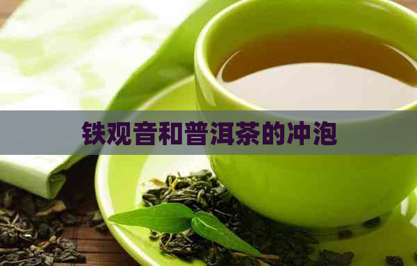 铁观音和普洱茶的冲泡