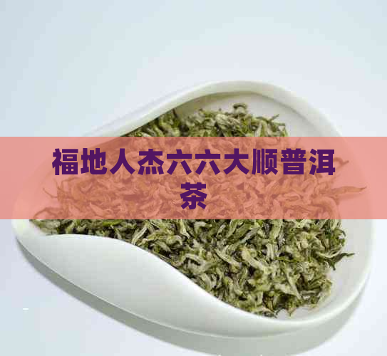 福地人杰六六大顺普洱茶