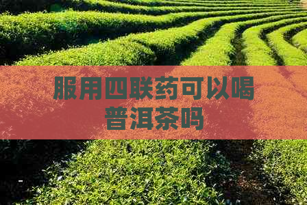 服用四联药可以喝普洱茶吗