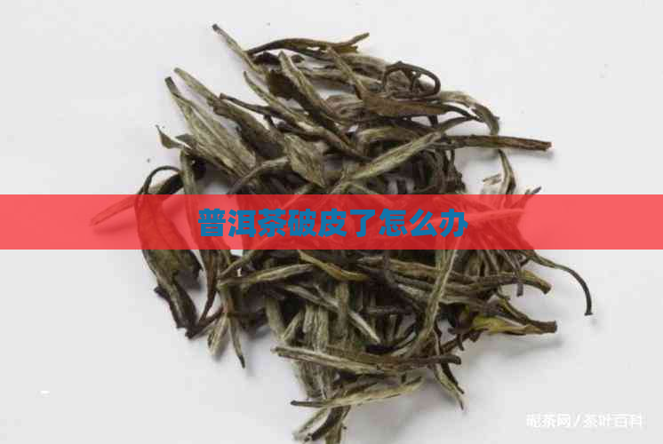 普洱茶破皮了怎么办