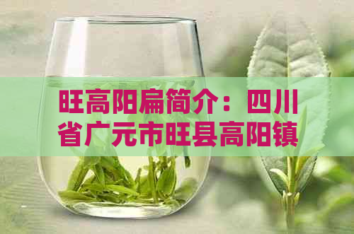 旺高阳扁简介：四川省广元市旺县高阳镇的茶叶怎么样？价格是多少？