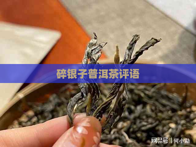 碎银子普洱茶评语