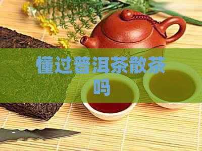 懂过普洱茶散茶吗