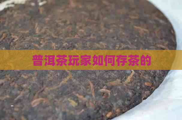 普洱茶玩家如何存茶的