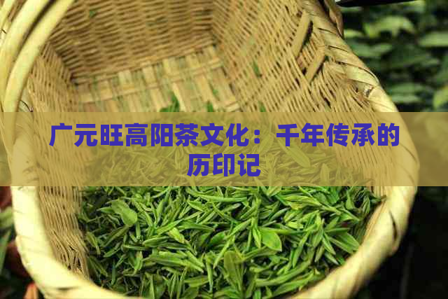 广元旺高阳茶文化：千年传承的历印记