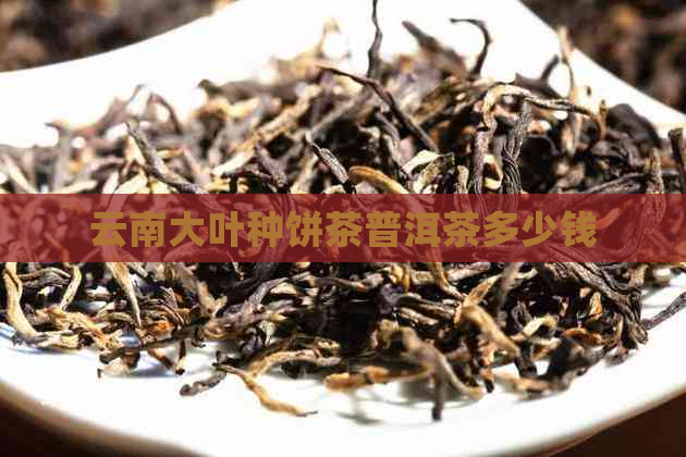 云南大叶种饼茶普洱茶多少钱