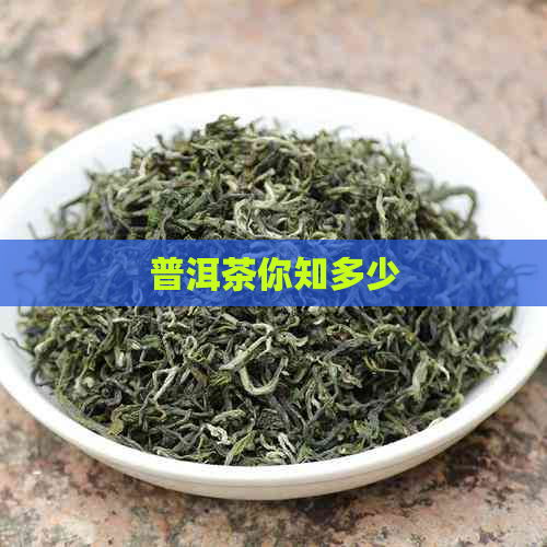 普洱茶你知多少