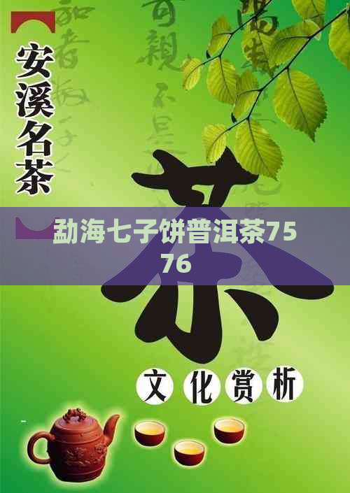 勐海七子饼普洱茶7576