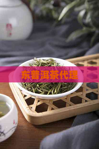 东普洱茶代理