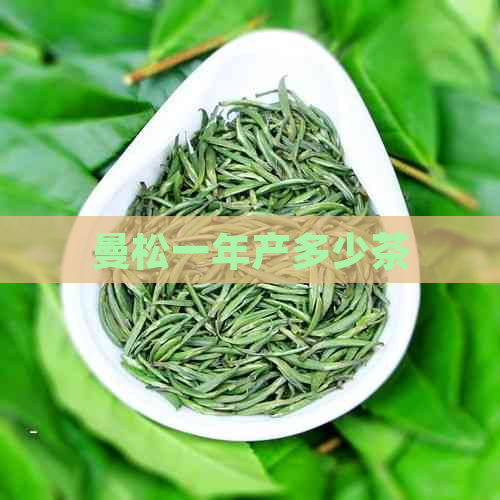 曼松一年产多少茶