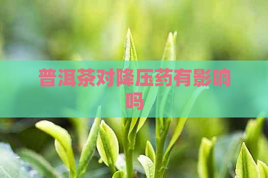 普洱茶对降压药有影响吗