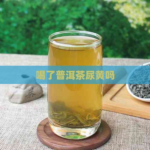 喝了普洱茶尿黄吗