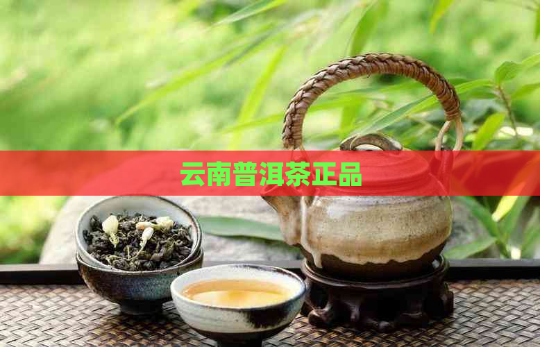 云南普洱茶正品