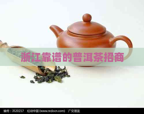 浙江靠谱的普洱茶招商